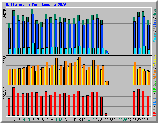 Daily usage for January 2020