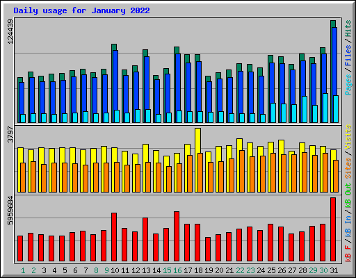 Daily usage for January 2022