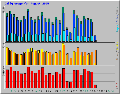 Daily usage for August 2025