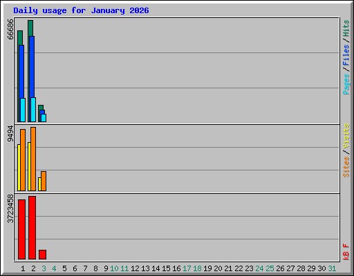 Daily usage for January 2026