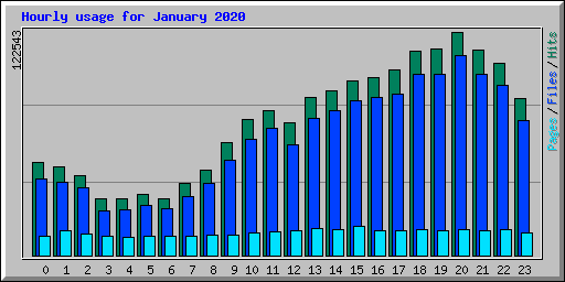 Hourly usage for January 2020