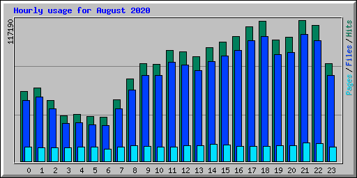 Hourly usage for August 2020