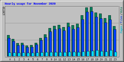 Hourly usage for November 2020