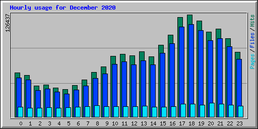 Hourly usage for December 2020