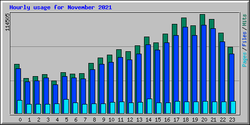 Hourly usage for November 2021