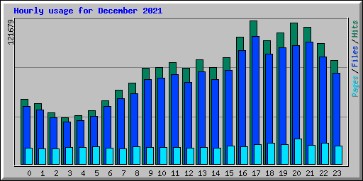 Hourly usage for December 2021