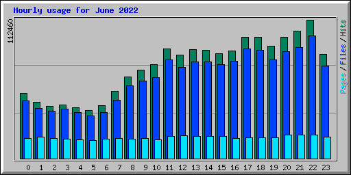 Hourly usage for June 2022