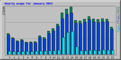 Hourly usage for January 2023