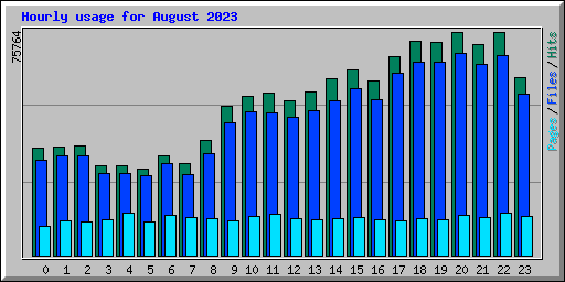 Hourly usage for August 2023