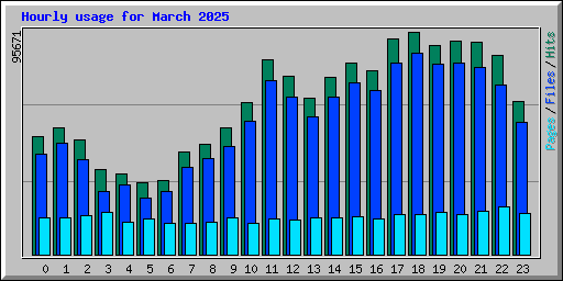 Hourly usage for March 2025