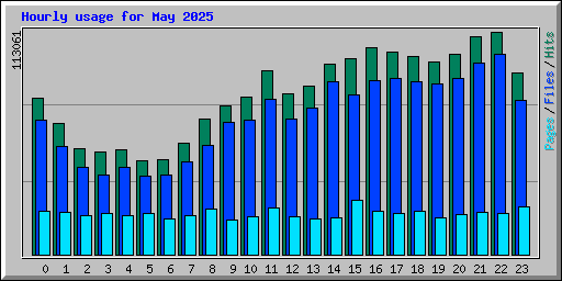Hourly usage for May 2025