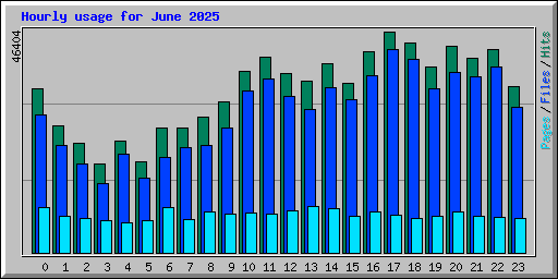 Hourly usage for June 2025