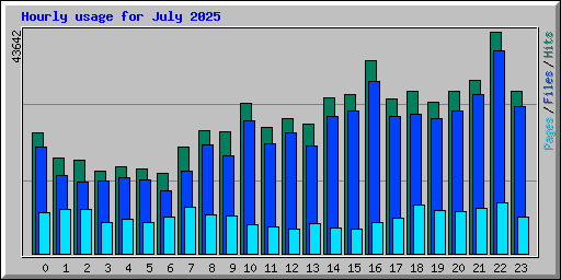 Hourly usage for July 2025