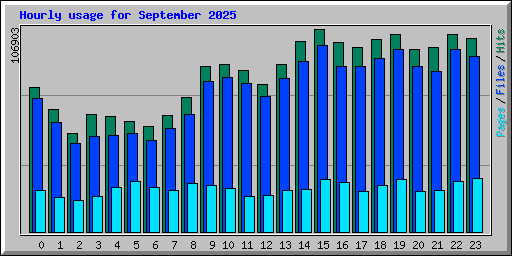 Hourly usage for September 2025