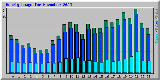 Hourly usage for November 2025