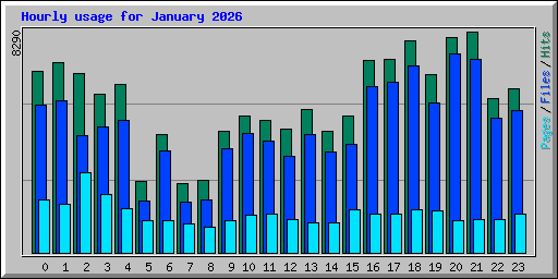 Hourly usage for January 2026