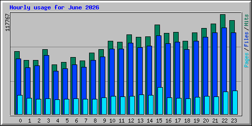 Hourly usage for June 2026
