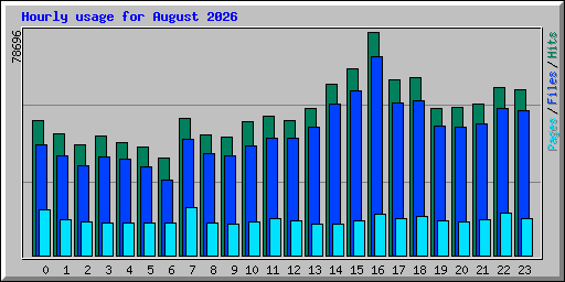 Hourly usage for August 2026